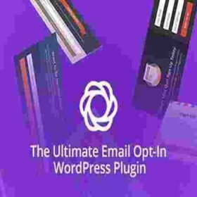 Elegant Themes Bloom Email Opt-Ins