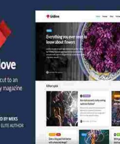 Gridlove Theme GPL News Portal & Magazine WordPress Websites