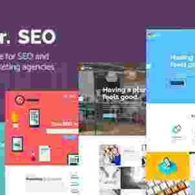 Mr SEO – SEO Marketing Agency and Social Media Theme