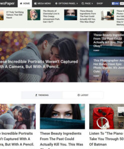 MyThemeShop Newspaper WordPress Theme