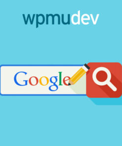 WPMU DEV Custom Google Search