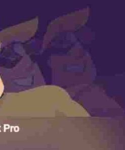 WPMU Dev Snapshot Pro GPL