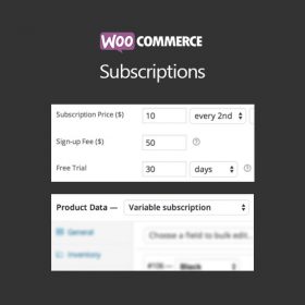 Products Update 2 20 WooCommerce Subscriptions