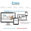 Striking MultiFlex & Ecommerce Responsive WP Theme 1 Striking MultiFlex & Ecommerce Responsive WP Theme