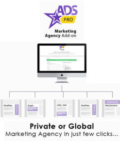Ads Pro Add-on – WordPress Marketing Agency