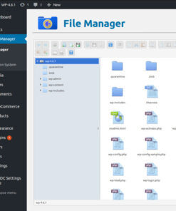 File Manager Plugin For WordPress
