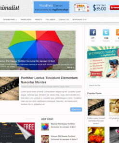 Minimalist WordPress Theme