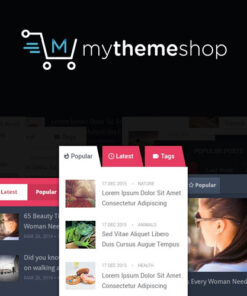 MyThemeShop Personal WordPress Theme