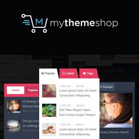 MyThemeShop Personal WordPress Theme