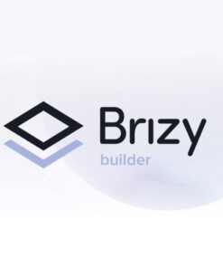 Brizy Pro