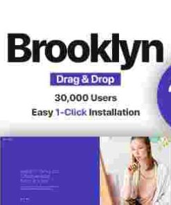 Brooklyn Theme GPL Creative Multi-Purpose Responsive WP Website