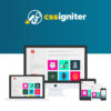 CSS Igniter Nico WordPress Theme 2 CSS Igniter Nico WordPress Theme
