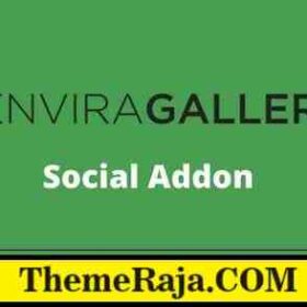 Envira Gallery Social Addon GPL