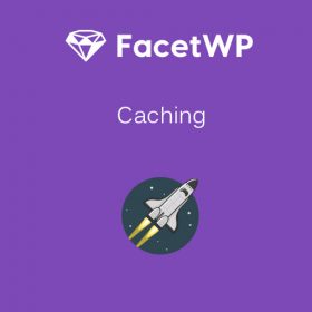 FacetWP – Caching