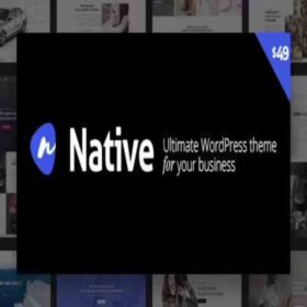 Products Update 2 7 Native – Stylish Multi-Purpose Creative WP Theme GPL