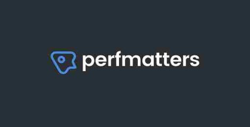 Perfmatters Lightweight WordPress Performance Plugin
