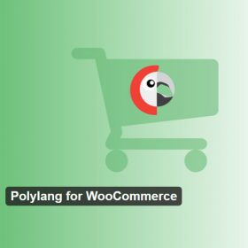 Products Update 2 13 Polylang for WooCommerce