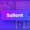 Salient Responsive Multi-Purpose Theme GPL 1 Salient Responsive Multi-Purpose Theme Gpl