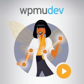 Products Update 2 19 WPMU Dev Beehive Pro