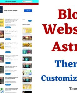 Astra Theme Customization Service