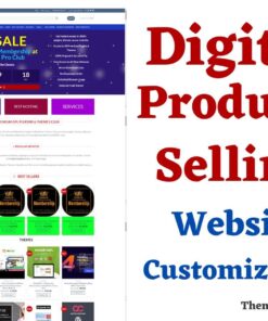 Digital Products Selling Websites Design Template WordPress Theme Customization