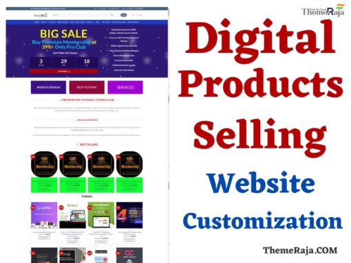 Digital Products Selling Websites Design Template WordPress Theme Customization
