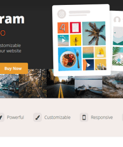 Custom Instagram Feed Pro GPL Smash Balloon