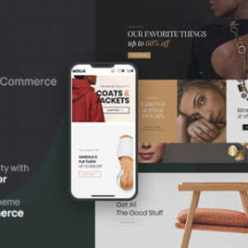 Molla Theme GPL – Multi-Purpose WooCommerce Websites
