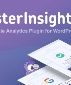 MonsterInsights Plus GPL Plugin – Best WordPress Analytics