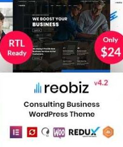 Reobiz Theme GPL Consulting Business WordPress Websites Testing Purpose