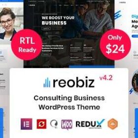 Reobiz Theme GPL Consulting Business WordPress Websites Testing Purpose