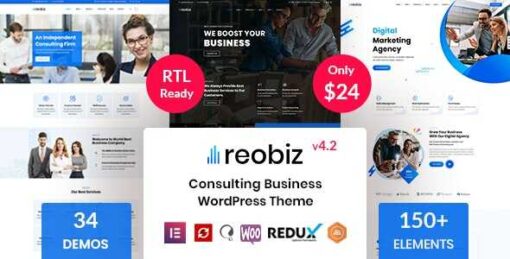 Reobiz Theme GPL Consulting Business WordPress Websites Testing Purpose