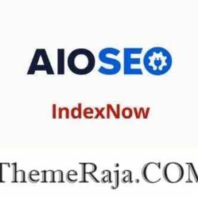 AIOSEO IndexNow Addon GPL Plugin