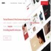 Anon Multipurpose Elementor WooCommerce Theme