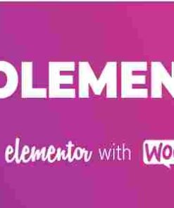 CoDesigner Pro GPL Plugin – Formerly Woolementor PRO