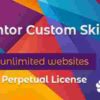 Elementor Custom Skin Pro