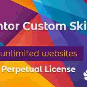 Elementor Custom Skin Pro
