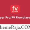 FV Player ProFV Flowplayer GPL Plugin Host Your Video Anywhere
