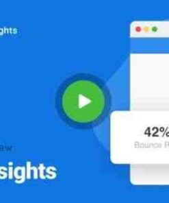 MonsterInsights AMP Page Insights Addon GPL Plugin