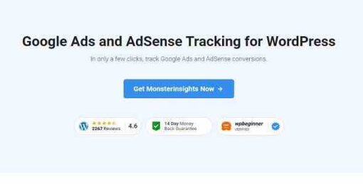 MonsterInsights Ads Tracking Addon GPL Pro Plugin