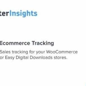 MonsterInsights eCommerce Tracking Addon GPL Plugin