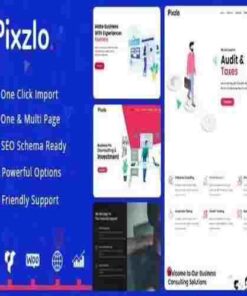 Pixzlo Creative WordPress Theme for Professionals GPL Theme