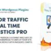 Visitor Traffic Real Time Statistics Pro GPL Plugin 2 Visitor Traffic Real Time Statistics Pro GPL Plugin