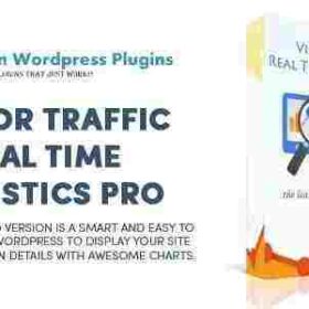 Visitor Traffic Real Time Statistics Pro GPL Plugin