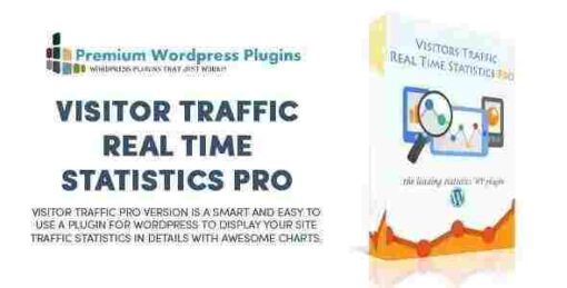 Visitor Traffic Real Time Statistics Pro GPL Plugin