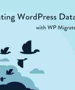 WP Migrate DB Pro GPL WordPress Site Migration Plugin