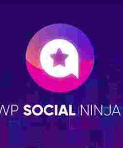 WP Social Ninja Pro GPL WordPress All In One Social Plugin