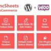 WooCommerce Google Spreadsheet Addon GPL Plugin