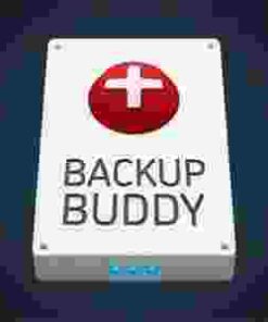 iThemes Solid Backups