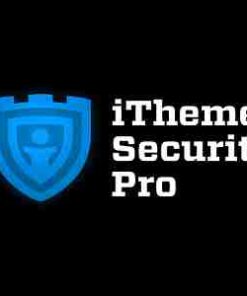 iThemes Solid Security Pro GPL Plugin